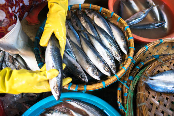 istock Seafood processing at fish market in Quy Nhon, south Vietnam 871657538