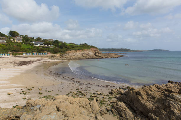istock Swanpool beach and coast Falmouth Cornwall England UK 871657674