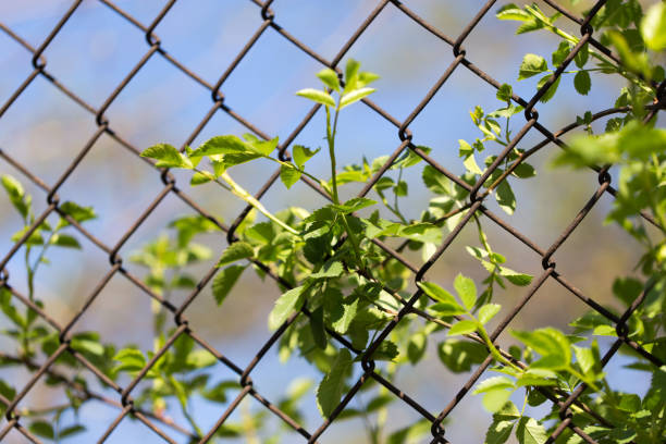 istock Steel wire mesh fence with trees 871657706