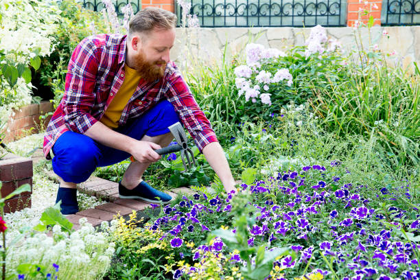 istock Happy man gardening 871657758