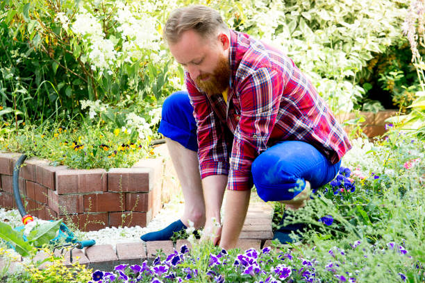 istock Happy man gardening 871660288