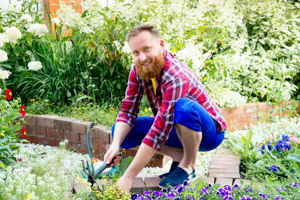 istock Happy man gardening 871660520