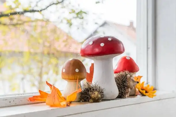Autumn decoration at home