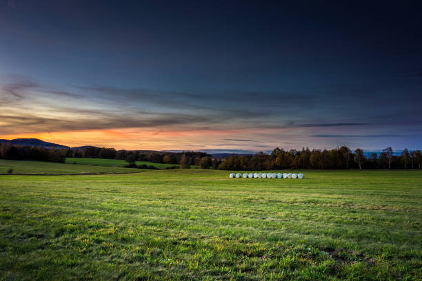 Bundles of hay on the meadow by sunset.