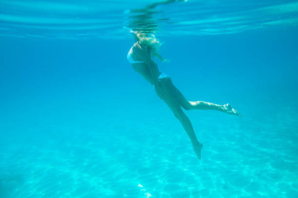 istock Elegance in the sea 871664170