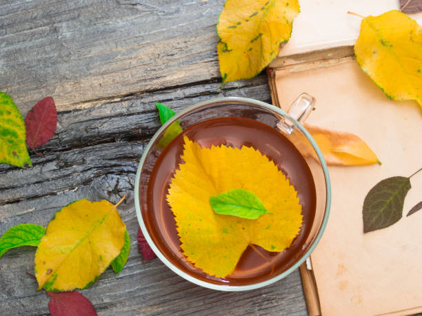 warm tea for autumn days with ingredients on the table birch gold group review rankings stock pictures, royalty-free photos & images