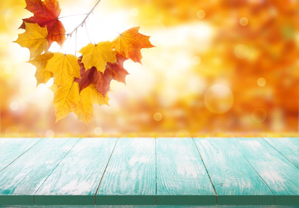 istock Empty wooden deck table with foliage bokeh background. Ready for product display montage. 871668998