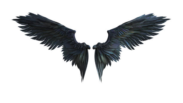 Demon Wing Stock Illustration - Download Image Now - Crow - Bird, Animal  Wing, Devil - iStock