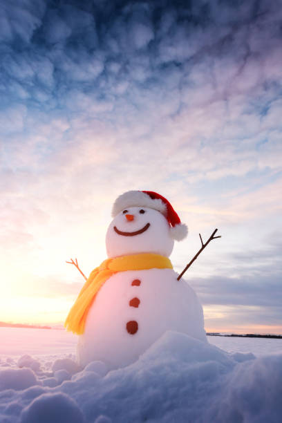 istock Funny snowman in Santa hat 871680056