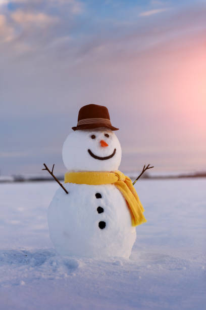 istock Funny snowman in yellow hat 871680078