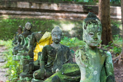 Old buddha images in Wat Umong - a 700-year-old Buddhist temple in Chiang Mai, Thailand.