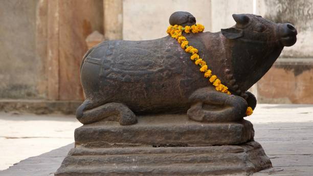 istock Nandi in temple in Varanasi, at the Ghats 871694698