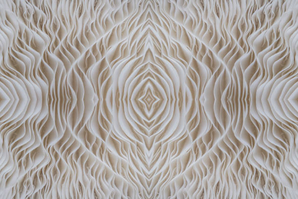 abstract nature background macro of Sajor-caju Mushroom plants. Using idea design texture pattern concept natural or wallpaper.