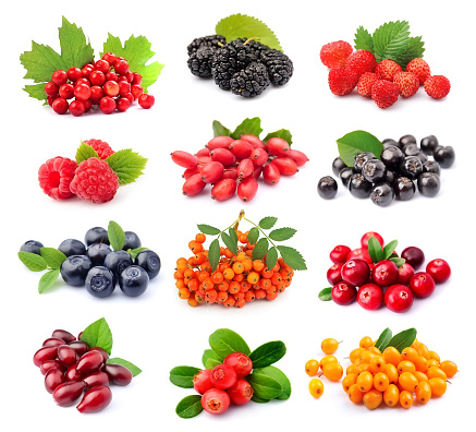 Collage of wild berry isolated on white backgrounds.