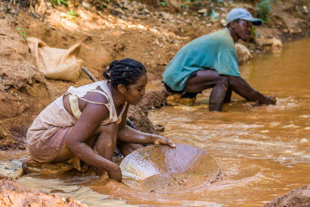 Malagasy couple gold panners Vohemar, Madagascar, May 22, 2017: Malagasy couple gold panners in the river near Vohemar in Eastern Madagascar panning for gold photos stock pictures, royalty-free photos & images