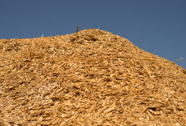 istock Mountain dry industrial chips under the open sky. 871702806
