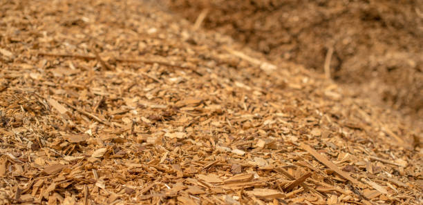 istock Industrial wooden chips 871703156