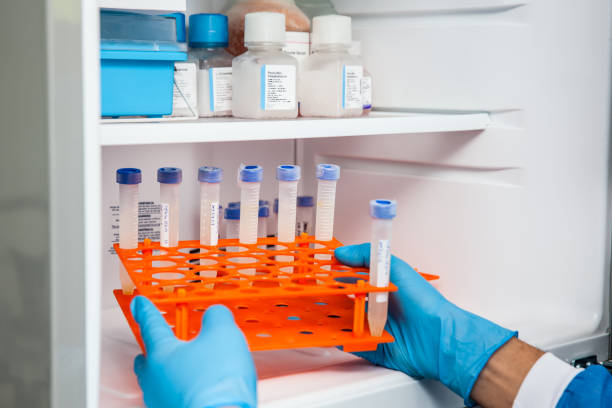 istock Male scientist and laboratory freezer 871704288