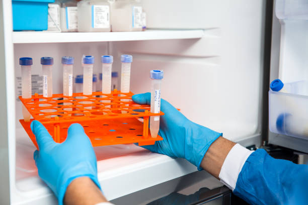 istock Male scientist and laboratory freezer 871704304