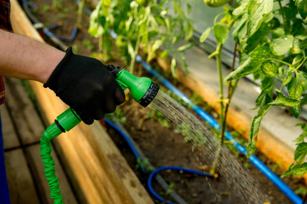 istock Happy couple gardening 871711216