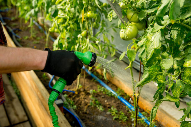 istock Happy couple gardening 871711930
