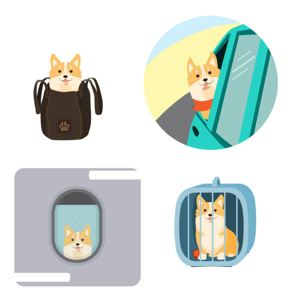 Vector illustration of dog in a bag, in pet cage, carriage of dogs on aircraft and car. Travelling with dogs. Vector illustration of dog in a bag, in pet cage, carriage of dogs on aircraft and car. progress window stock illustrations