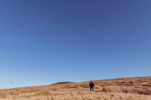 istock Man hiking in Autumn sunshine. 871718384