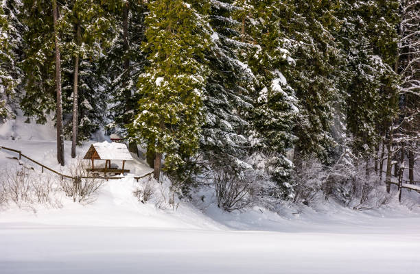 istock alcove in snowy spruce forest 871718892