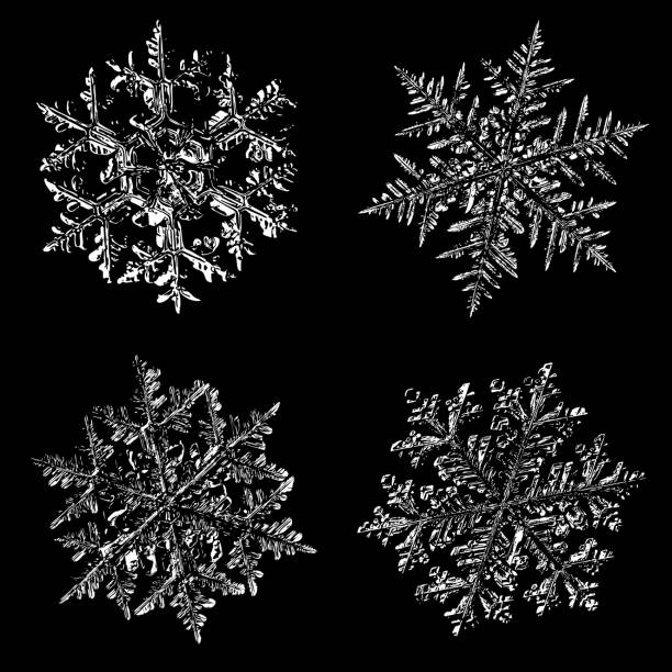 istock Four white snowflakes on black background 871719430