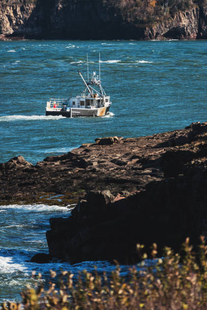 랍스터 배죠 - nova scotia bay of fundy bay horizon over water 뉴스 사진 이미지