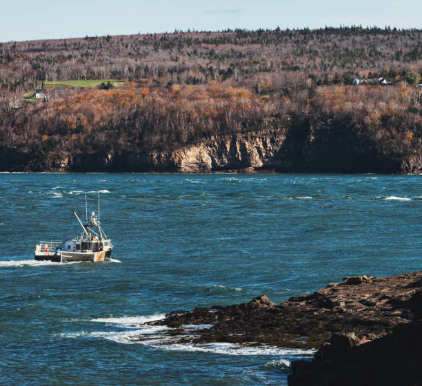 랍스터 배죠 - nova scotia bay of fundy bay horizon over water 뉴스 사진 이미지