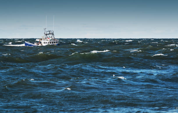 fighting the tide - horizontal nova scotia bay of fundy bay imagens e fotografias de stock