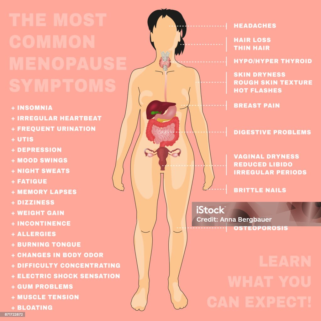 Vector Menopause Image The most common menopause symtoms. Menopause infographic isolated on a pink background with a woman body silhouette. Women health concept. Vector illustration with useful medical facts. Menopause stock vector
