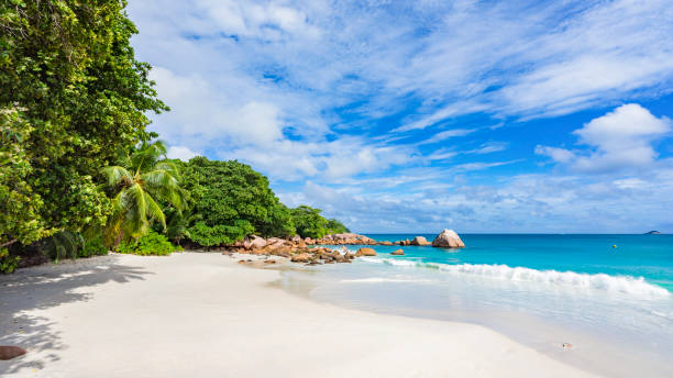 istock Paradise beach at anse lazio on the seychelles 62 871723444
