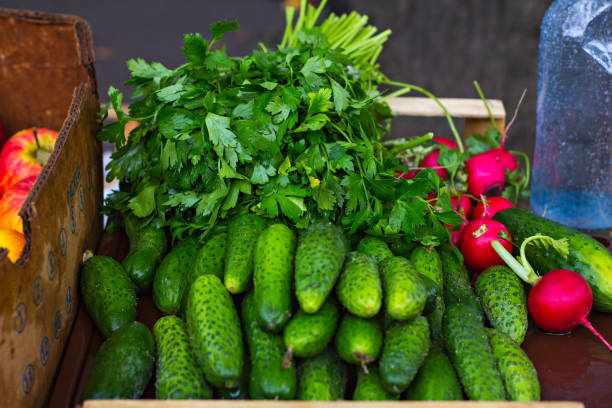 zähler mit gurken und grünen auf den markt. - eggplant group of objects raw food eating stock-fotos und bilder