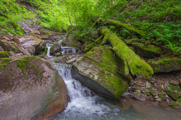 istock Mountain stream current between the large boulders in the woods 871729470