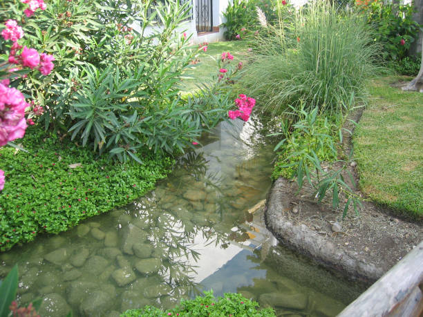 istock Beautiful garden with river and small bridge in Torrox, Spain 871730056
