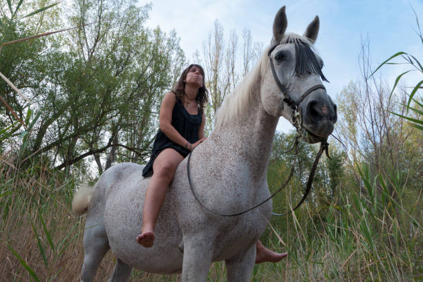 młoda kobieta na koniu - barb horse zdjęcia i obrazy z banku zdjęć
