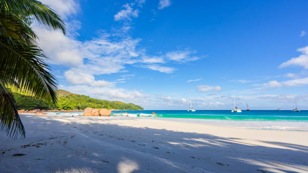 istock Catamarans at anse lazio on the seychelles 21 871734504
