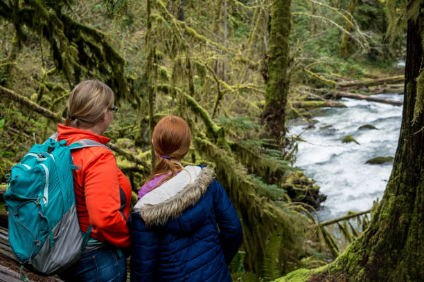 madre e figlia che escursionisticano le cascate di alsea - corvallis foto e immagini stock