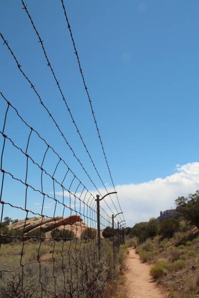 istock Historic Buffalo Fence and Trail 871737936