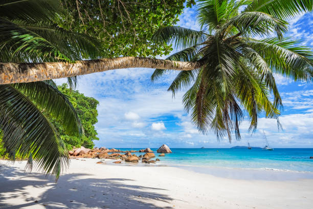 istock Catamarans at anse lazio on the seychelles 78 871741058