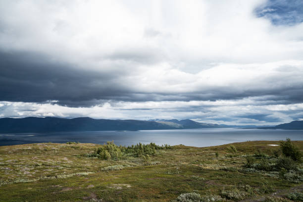 istock The Tornetrask Lake Area in Sweden 871741548