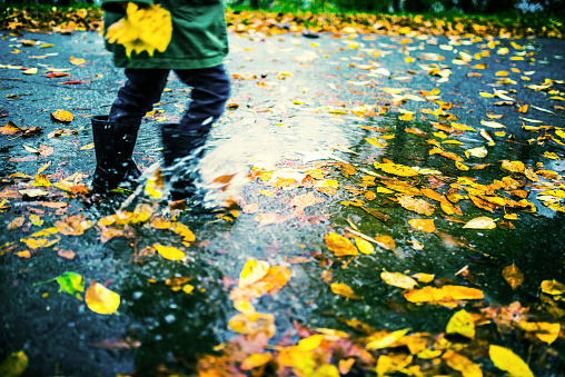 Legs of child in rubber boots running in puddles with colourful autumn leafs