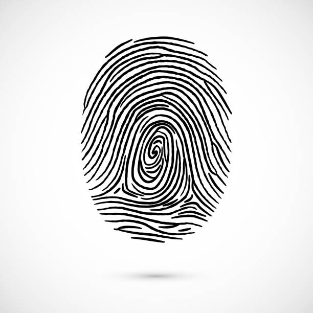 identyfikacja ikony linii papilarnych - fingerprint thumbprint human finger track stock illustrations