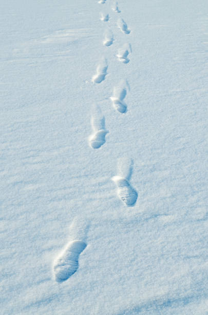 istock Human footprints in the snow. 871752342