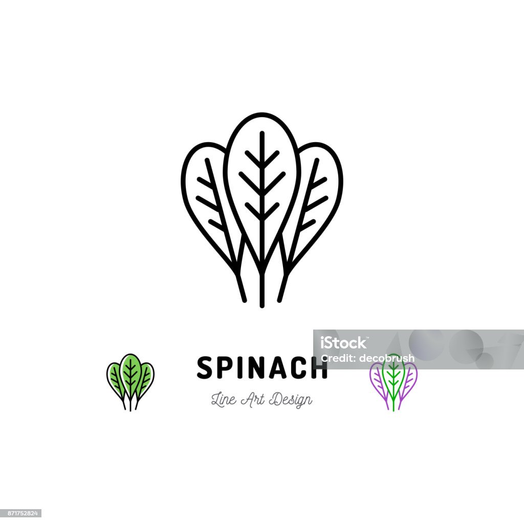 Spinach leaves icon Vegetables  Spice. Thin line art desig Spinach leaves icon Vegetables  Spice. Thin line art design, Vector outline illustration Spinach stock vector