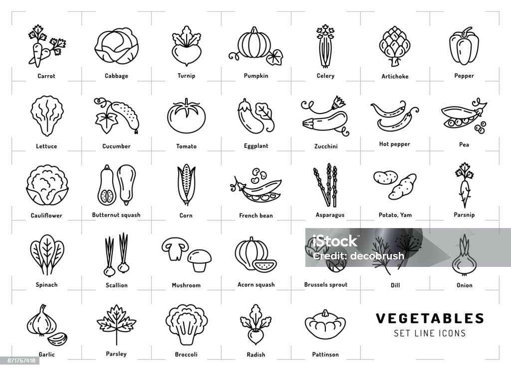 Vegetables icons isolated, Spices . Trendy thin line art style Vegetables icon isolated, Spices . Trendy thin line art style. Fresh vegetarian food, vegetable garden tomato, salad, carrot, pepper, pumpkin, pea, onion dill parsley and etc Vector Icon Symbol stock vector