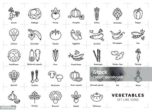 Vegetables Icons Isolated Spices Trendy Thin Line Art Style Stock Illustration - Download Image Now
