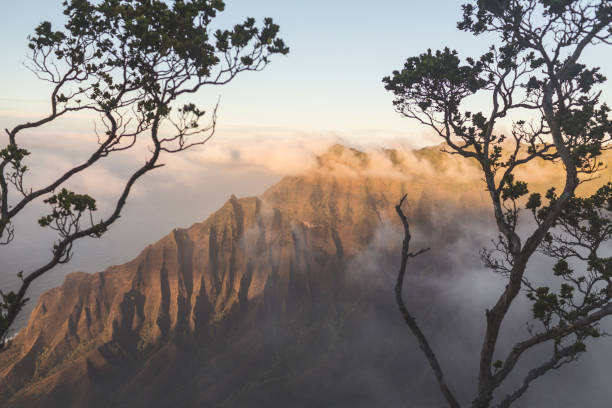 o havaí montanhas - picturesque america or the land we live in canyon mountain mountain range - fotografias e filmes do acervo